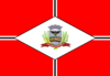 São José do Rio Preto旗帜
