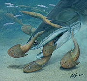鈍齒宏頜魚（Megamastax amblyodus）捕食長孔盾魚（Dunyu longiforus）