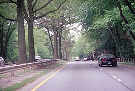 (December 2016) Tree canopy on the Merritt Parkway in Connecticut