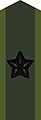 Collar patch on field uniform M90 for a brigadier general[c] (2002–present)