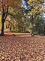 Colourful autumn morning