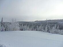 Wooded, snowy landscape in the ZEC Onatchiway in winter