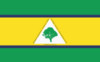 Flag of Floresta do Piauí