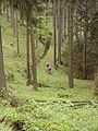 Walkers by the Morgenbrodstal Ditch near Dammhaus