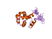 2dkx: Solution structure of the SAM_PNT-domain of ETS transcription factor PDEF (Prostate ets)