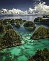 Image 21Piaynemo karst archipelago in Raja Ampat, West Papua (from Tourism in Indonesia)
