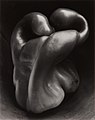 Image 66Pepper No. 30, by Edward Weston (edited by Bammesk) (from Wikipedia:Featured pictures/Artwork/Others)