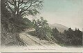 Postcard of the road to Mount Tamalpais