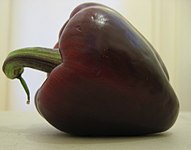 紫色的菜椒