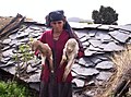 Woman from Than Gaon in Uttarakhand, with two goat kids