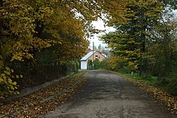 Road in Zawiszyce