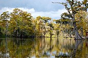 Bayou Corne in Louisiana, October 2010