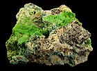 Green pyromorphite microcrystals cover the vuggy, quartz-rich matrix. Seams of tiny cerussite crystals and crusts of contrasting, powder-blue caledonite round out this very rich lead ore specimen from an old Leadhills mine.