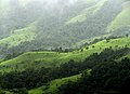 Shola highlands are found in Kudremukh National Park, Chikmagalur which is part of the Western Ghats.