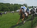 Steeplechase at Winterthur’s Point-to-Point.