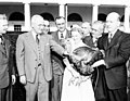 1949年，美国总统哈里·杜鲁门接受火鸡业者所赠之古铜火鸡（英语：Bronze turkey）