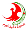 Official logo of Tulkarm