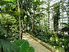 greenhouse of Botanical Garden