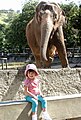 The old style elephant enclosure at Rio de Janeiro Zoo (Brazil)