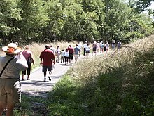 People walking down a concrete path between two sloping hills with extensive plant growth surrounding them.