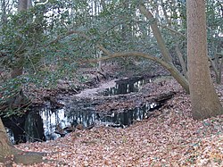 Picture of Iron Branch in Delaware