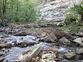 Red Hill Creek, King's Forest Park