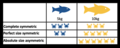 Image 7Table visualising size-symmetric competition, using fish as consumers and crabs as resources. (from Community (ecology))