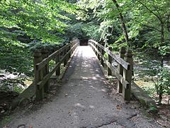 Deck of the Rapids Footbridge