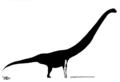 Skeletal of Rhomaleopakhus.