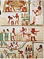 Image 19Agricultural scenes of threshing, a grain store, harvesting with sickles, digging, tree-cutting and ploughing from Ancient Egypt. Tomb of Nakht, 15th century BC. (from History of agriculture)