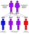 Recessive gene