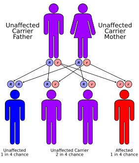 There are five typical autosomal recessive disorders in which ataxia is a prominent feature