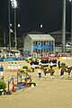 2008年夏季奥林匹克运动会马术比赛－团体三项赛颁奖仪式