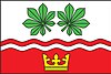 Flag of Cetyně