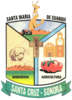 Official seal of Santa Cruz Municipality