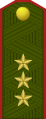 Ґенэрал-палкоўнік G̀jeneral-palkoŭnik (Belarusian Ground Forces)[8]