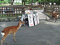 於 2015年9月28日 (一) 13:56 版本的縮圖