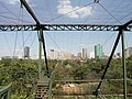 Pretoria skyline seen from within the aviary