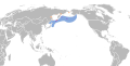 2021年1月17日 (日) 23:34版本的缩略图