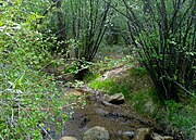 Bear Creek Cañon Park - Bear Creek, just off Bear Creek Road