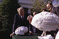 1975年，美国总统杰拉尔德·福特收下所获赠的火鸡