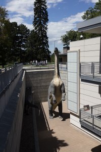 Dinosaur sculpture next to the Museum's parking structure