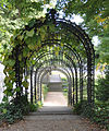 “Sphinx” flight of steps with trellis covered by pipevine