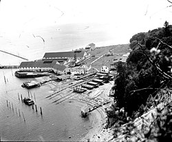 Point Roberts cannery c. 1918