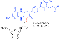 TGDDF / GDDF MAIs where blue depicts the tetrahydrofolate cofactor analogue, black GAR or thioGAR and red, the connecting atoms.