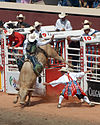 A cowboy hangs onto a bucking bull while a rodeo clown watches.