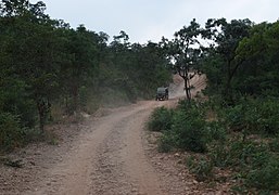 Dirt road along Nallamala Forests near Ahobilam