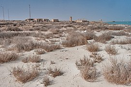 Far view of ruins at Al Khuwayr.