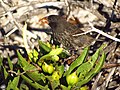 於 2019年2月27日 (三) 18:53 版本的縮圖