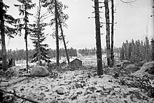 A ground-level photo at Kollaa, with trees in the foreground, a snowy field in-between and dense forests as well as a Soviet tank in the distance.